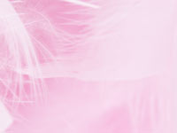 pink feathers - powerpoint backgrounds