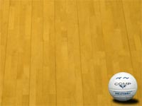 volleyball backgrounds tableau