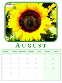 2011 powerpoint calendar August border=