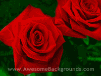 red roses flowers - powerpoint backgrounds