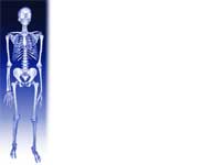 skeleton - powerpoint backgrounds