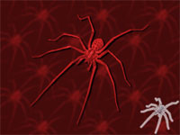 spider - powerpoint backgrounds